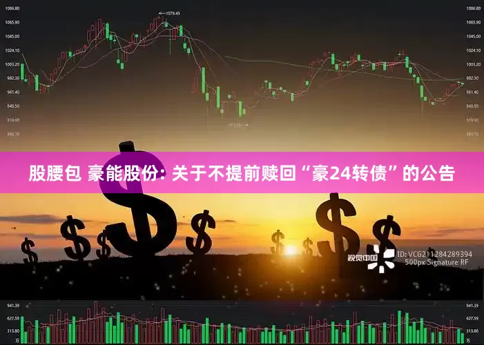 股腰包 豪能股份: 关于不提前赎回“豪24转债”的公告
